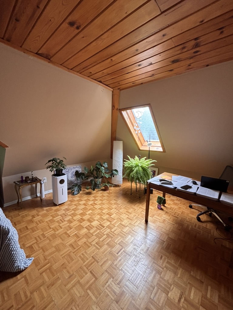 488 Gilmour Street - 3